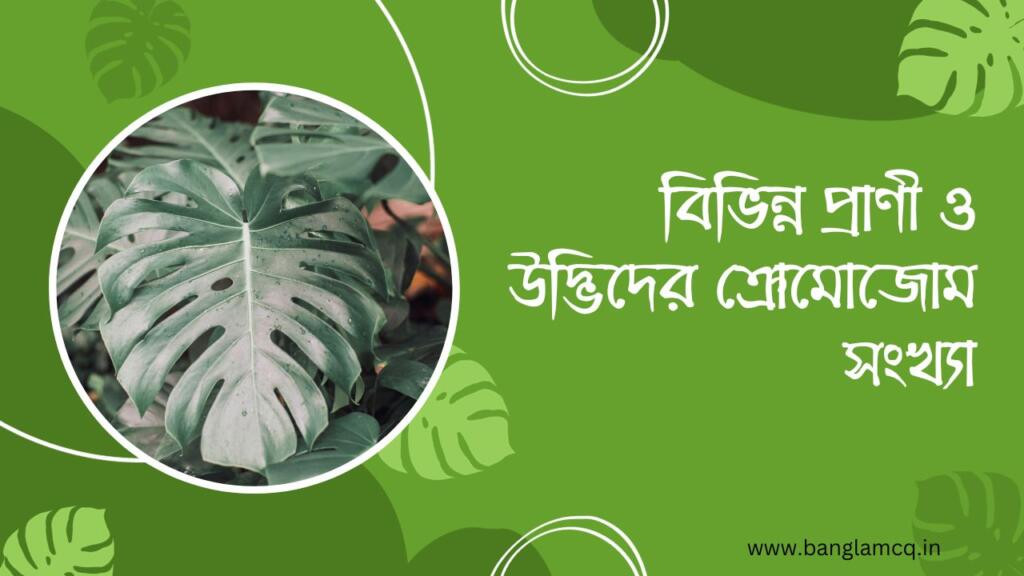 বিভিন্ন প্রাণী ও উদ্ভিদের ক্রোমোজোম সংখ্যা