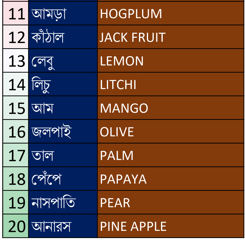 All Fruits Name in English to Bengali 